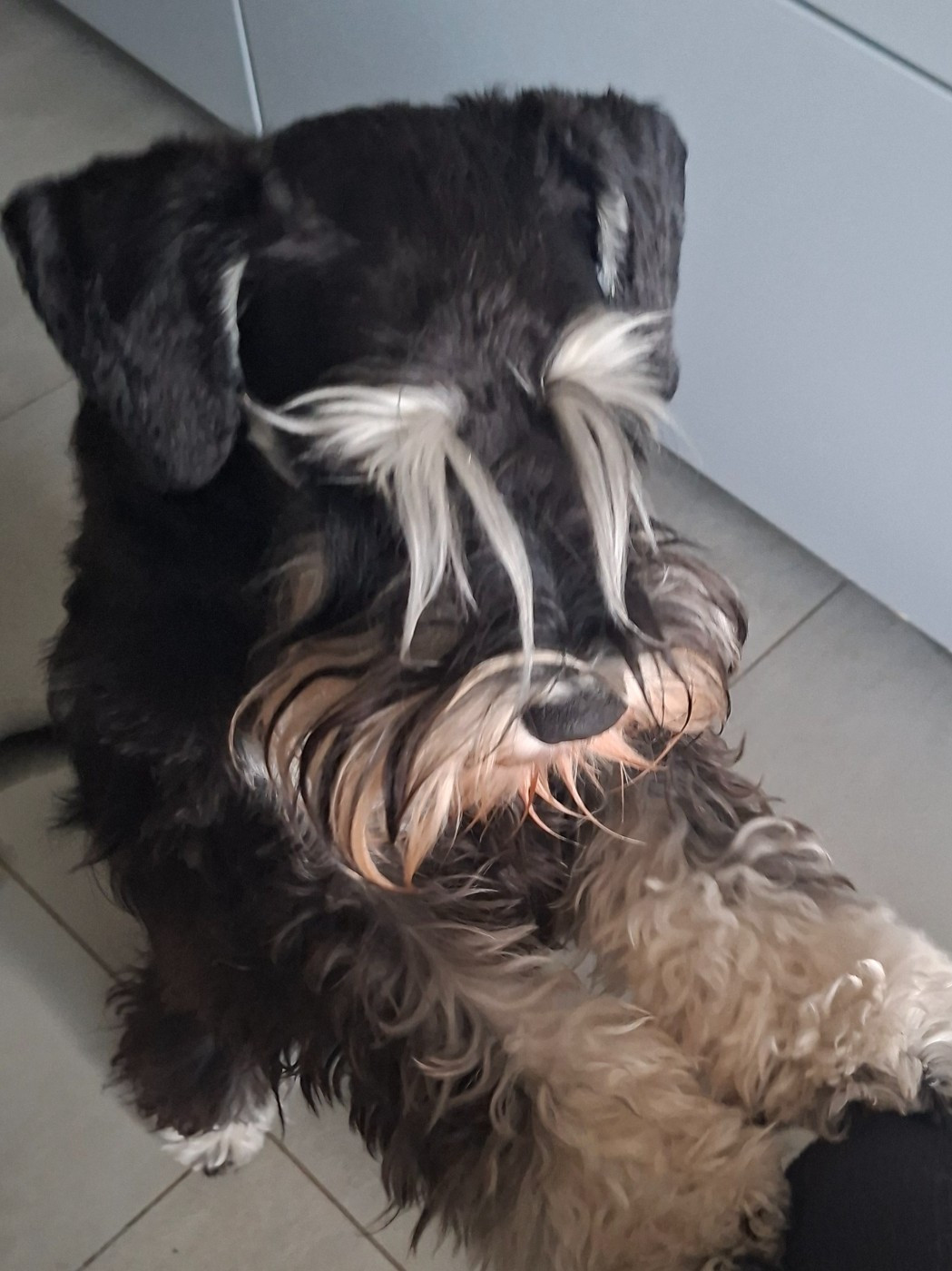 A goodnight kiss At Future Look